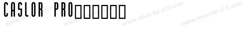 Caslor Pro字体转换